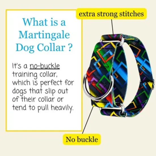 Country Brook Petz HossFit Jr Wide Martingale Dog Collar - Abstract Collection image {1}