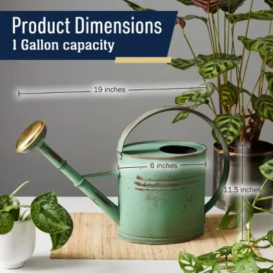 Kings County Tools Copper-Plated 1Gal Watering Can image {5}