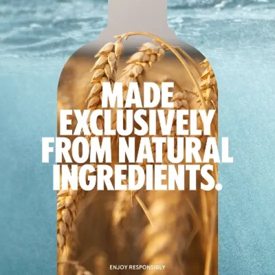 Absolut Vodka - 1.75L Bottle image {1}