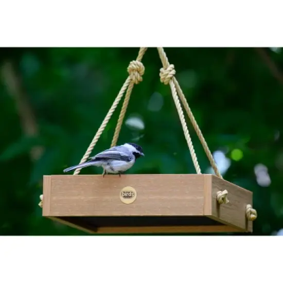 Bird Choice Small Modern Farmhouse Hanging Platform Tray Bird Feeder 2.5" Natural Teak Brown image {4}