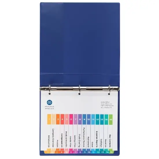 Avery Ready Index Customizable Table of Contents Multicolor Dividers 15-Tab Letter 11143 image {7}