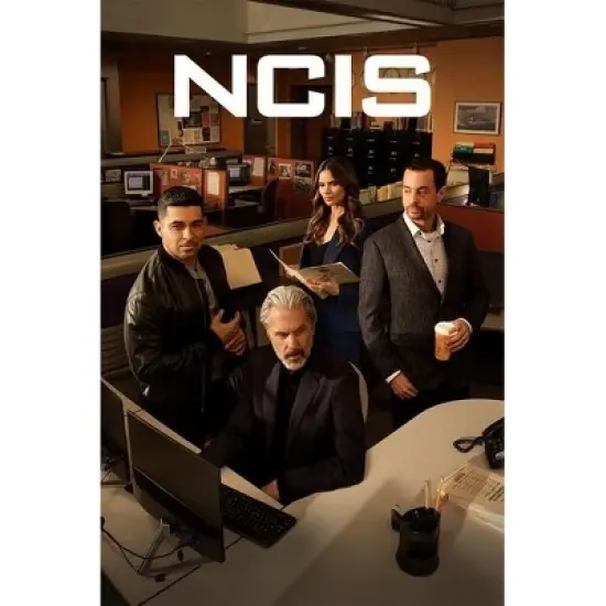 NCIS: Naval Criminal Investigative Service: The Twenty-Second Season (DVD) image {1}