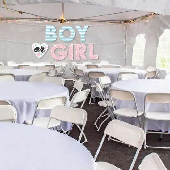 Big Dot of Happiness Baby Gender Reveal - Team Boy or Girl Party Decorations - Boy or Girl - Outdoor Letter Banner image {1}