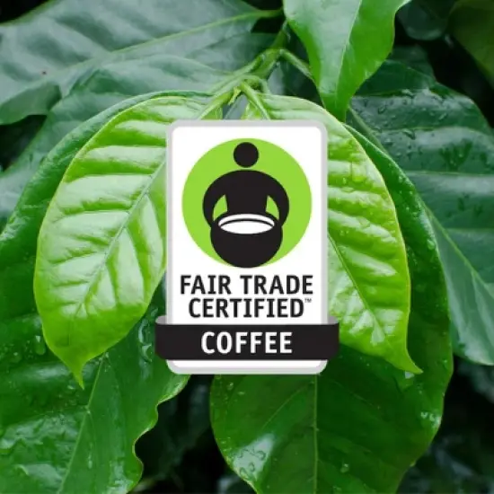 1790 Coffee Signature Roast Medium Roast Whole Bean Coffee &ndash; 12 oz image {4}