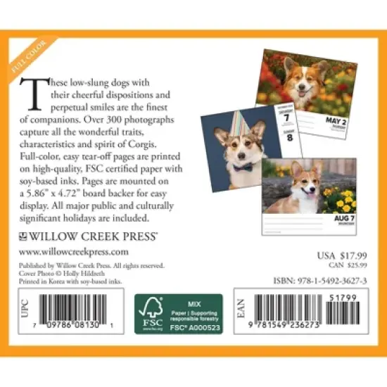 Willow Creek Press 2024 Daily Desk Calendar 5.2"x6.2" Corgis image {1}
