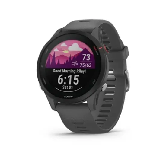Garmin Forerunner 255 image {6}