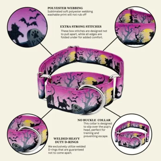 Country Brook Petz HossFit Jr Wide Martingale Dog Collar - Halloween Collection image {4}