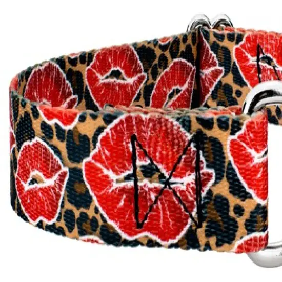Country Brook Petz Cheetah Kisses Martingale Dog Collar image {3}