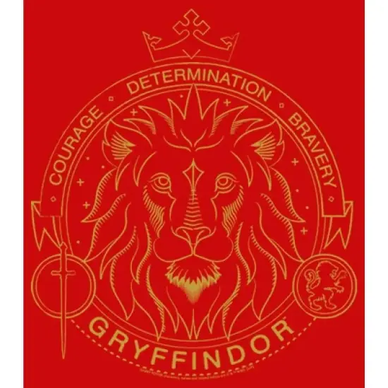 Boy's Harry Potter Gryffindor Line Art Seal T-Shirt image {1}