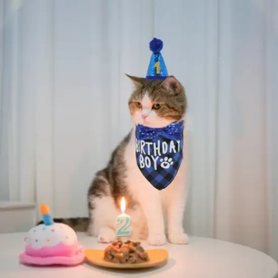 Unique Bargains Cat Birthday Decorations 1 Set image {3}