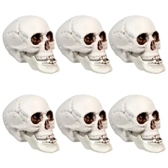 Northlight Skeleton Skull Halloween Decorations - 3.5" - Pack of 6 image {5}