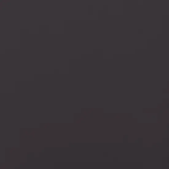 Merrick Lane Set Of 2 Indoor/Outdoor High Back Adirondack Chair Cushions with Elastic Strap and Water Resistant Covers image {2}