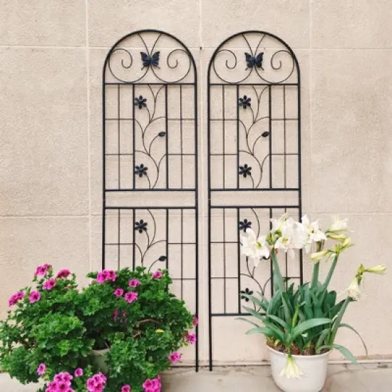 NicBex 2 Pack Metal Garden Trellis 71"X19.7" Pothos Plant Climber Support Rust Proof Grape Trellis for Garden, Black image {2}