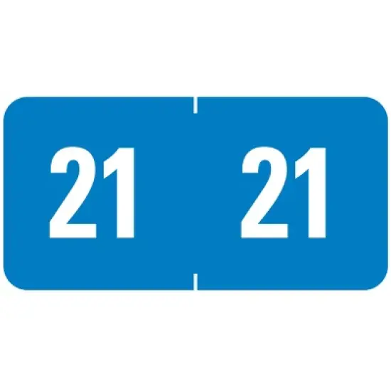 Smead ETS Color-Coded Year Label, 2021, Label Sheet, Light Blue, 250 per Pack (67921) image {1}