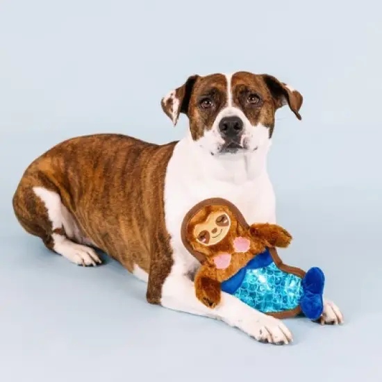 PetShop by Fringe Studio I'll Bring The Bubbles Durable Plush Dog Toy image {5}