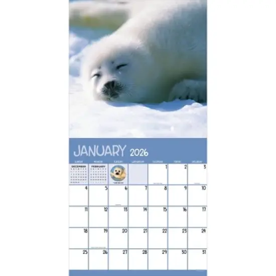 TF Publishing 13.5"x14.5" 2026 Baby Animals Wall Calendar image {5}