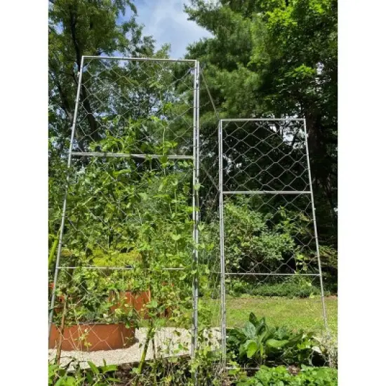 Gardener's Supply Company Chicken Wire Pea Trellis for Climbing Plants | Multi-Use Heavy Duty Outdoor Garden Peas, Tomato, Cucumber Plant Support | image {1}