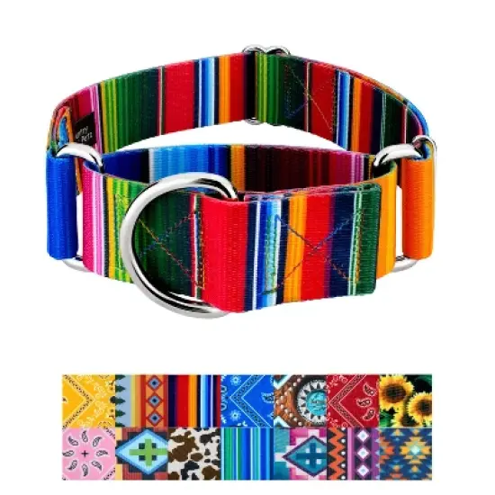 Country Brook Petz HossFit Jr Wide Martingale Dog Collar - Country and Western Collection image {7}