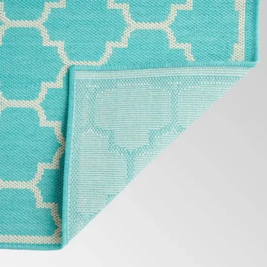 5'3" x 7' Ifran Outdoor Rug Teal/Ivory - Christopher Knight Home image {1}