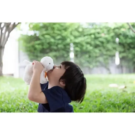 Plantoys| Pet Care Set image {7}