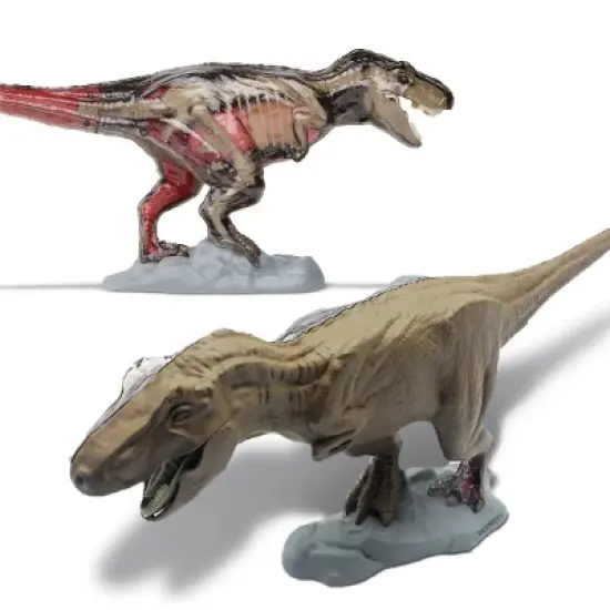 Discovery #Mindblown 4D T-Rex Anatomy Kit Interactive Dinosaur Model image {3}