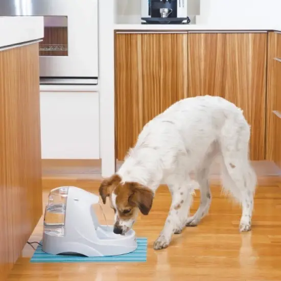 PetSafe Platinum Pet Fountain image {3}