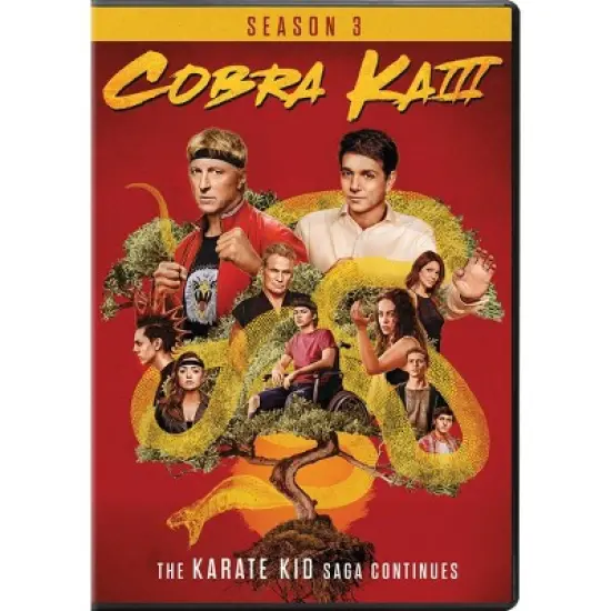 Cobra Kai: Season 3 (DVD) image {1}