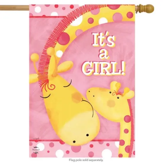 It's A Girl House Flag Baby Shower Giraffes Welcome 28" x 40" Briarwood Lane image {1}