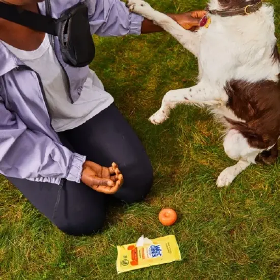 Wet Ones Antibacterial Hand Wipes Travel Pack - Tropical Splash - 20ct image {2}