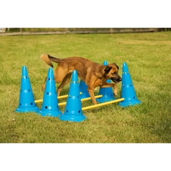 Midlee Dog Cone & Pole Agility Set- Adjustable Big to Small Dogs- Set of 3 image {5}