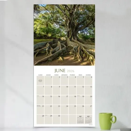 TF Publishing 13.5"x14.5" 2026 Trees Wall Calendar image {2}