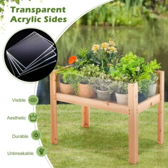 Tangkula Raised Wooden Garden Bed with Legs 24"/31&rdquo; Elevated Planter Box with 2 Acrylic Panel Sides Drain Holes, Movable Beds image {4}