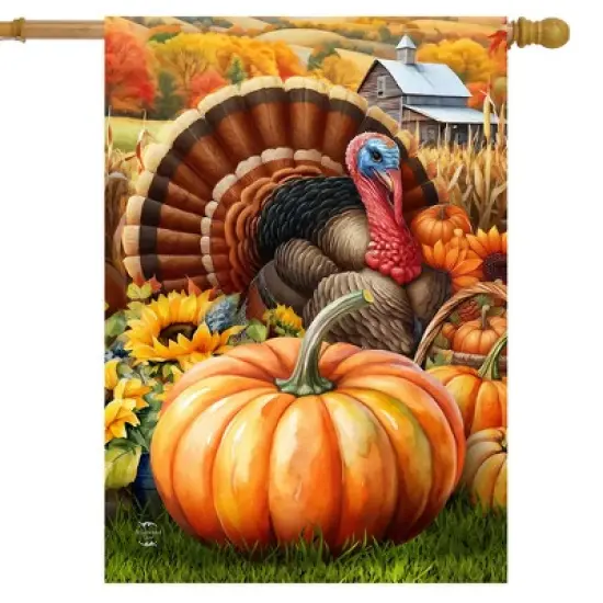 Briarwood Lane Fall Thanksgiving House Flag 40x28 For Outdoor Wild Turkey and Pumpkins For Thanksgiving House Flag image {1}