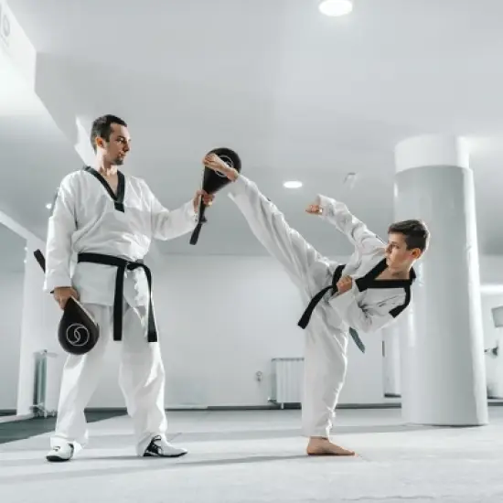 Juvale 2-Pack Taekwondo Kick Pad, Black Karate Kicking Target, Durable Striking Pads for Kickboxing Training, TKD Pads, 15 x 2.5 x 7.5 In image {2}