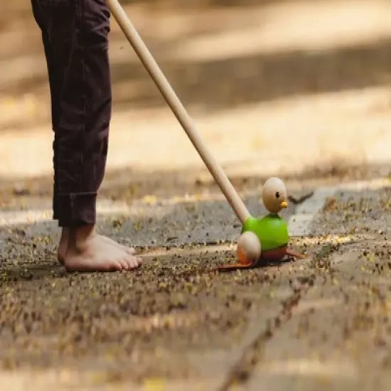 Plantoys| Push Along Duck image {4}