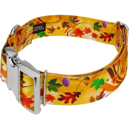 Country Brook Petz HossFit Jr Wide Premium Dog Collar - Awesome Autumn Collection image {1}
