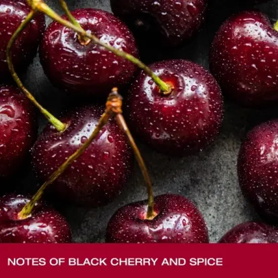 Justin Cabernet Sauvignon Red Wine - 750ml Bottle image {4}