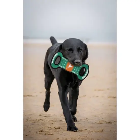 NCAA Texas Longhorns  Field Dog Toy image {1}