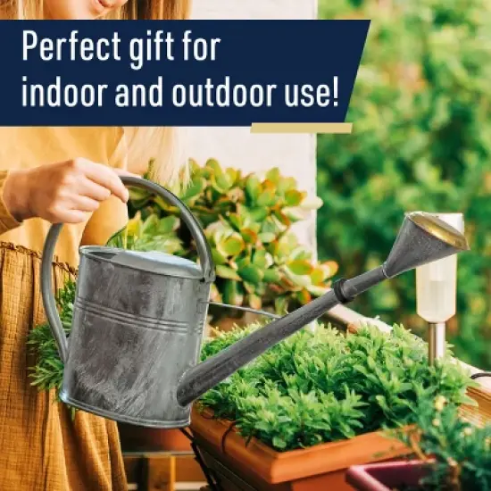 Kings County Tools Galvanized 2 Gal Watering Can image {4}