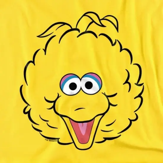 Toddler Boys' Sesame Street Big Bird Full Face T-Shirt image {1}