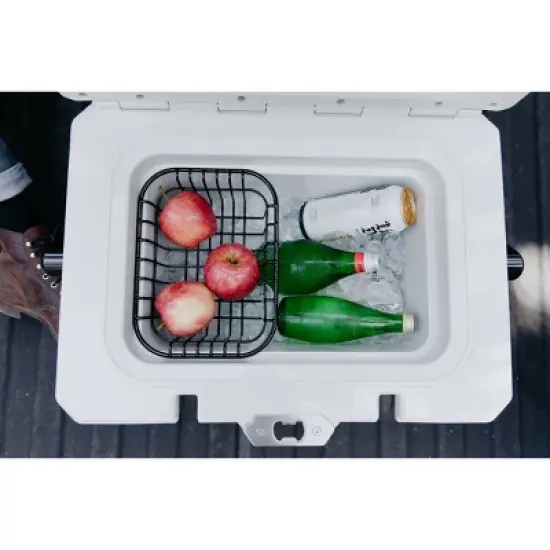 Igloo IMX 24qt Cooler - Meteorite image {10}