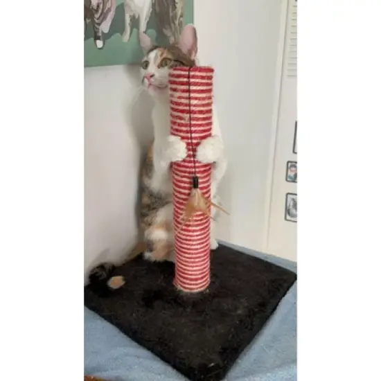Midlee Candy Cane Christmas Cat Scratcher Post image {5}