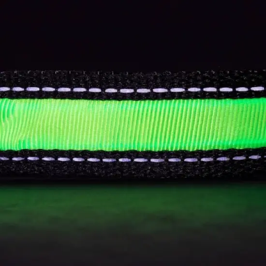 Life+Gear Rechargeable Glow Dog Collar - S image {9}