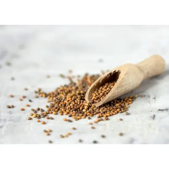 Organic Arugula Sprouting Seeds - by Food To Live image {4}