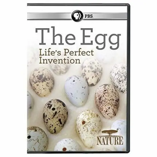 Nature: The Egg: Life's Perfect Invention (DVD) image {1}