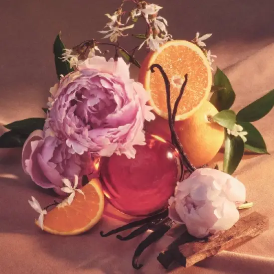 Being Frenshe Shea Butter with Jojoba and Radiance Oil for Dry Skin & Hair - Solar Fleur - 4 fl oz image {4}