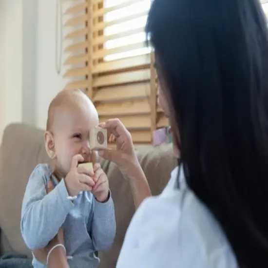 Plantoys| Sensory Blocks image {4}