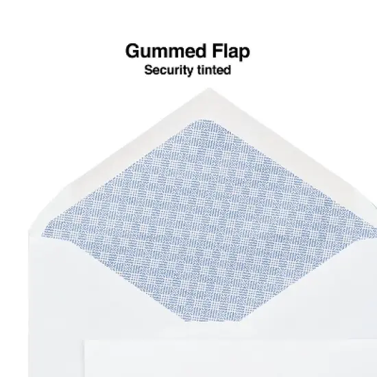 Staples Security-Tint Gummed #6-3/4" Envelopes 250/Box (317321/19254) image {1}