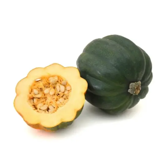 Fresh Organic Acorn Squash - each image {4}
