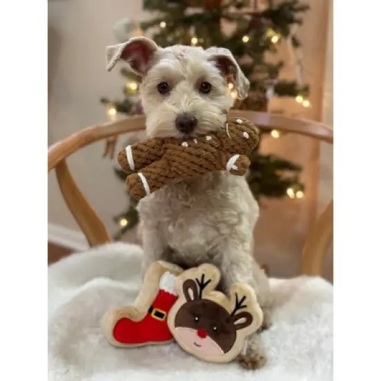 Midlee Santa Boot Sugar Cookie Dog Toy image {5}